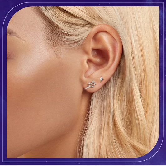 MommySupport™  Sterling Silver Original Star Zodiac Earrings  ⭐️⭐️⭐️⭐️⭐️