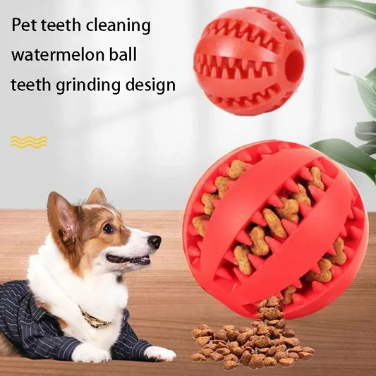 MommySupport™   Natural Rubber Pet Dog Toy ⭐️⭐️⭐️⭐️⭐️